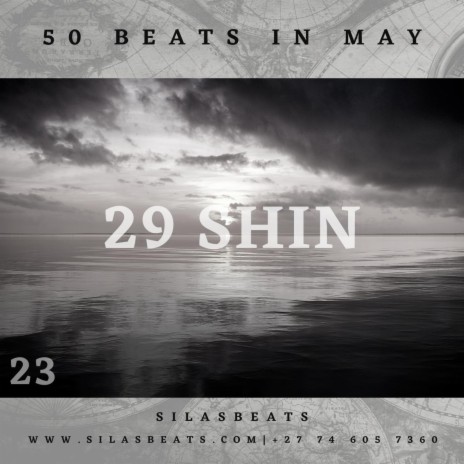 May23 29 Shin