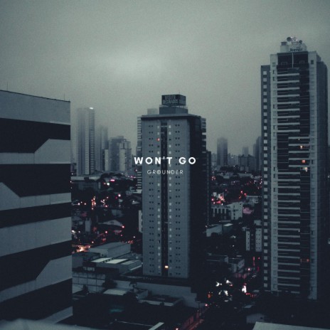 Won't Go | Boomplay Music