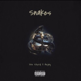 Snakes (feat. Nejay)