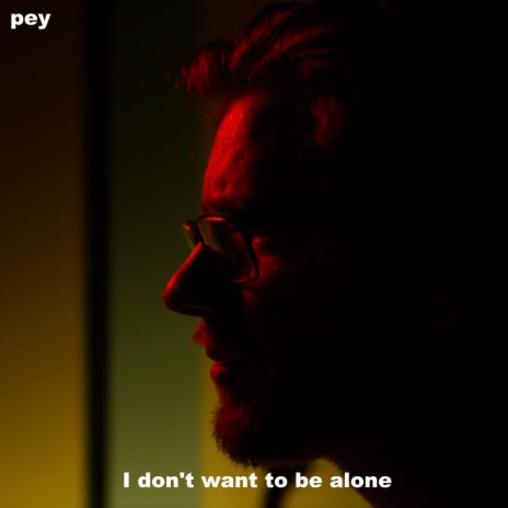 I Don't Want to be Alone | Boomplay Music