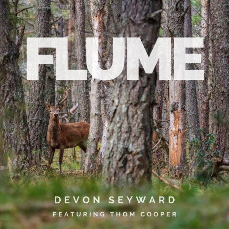 Flume [Acoustic Version] (feat. Thom Cooper)