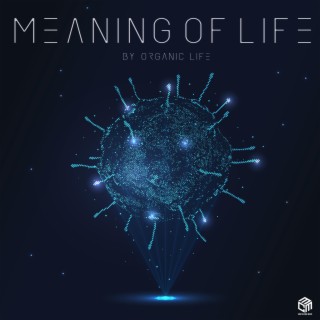 Meaning Of Life