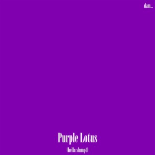 Purple Lotus