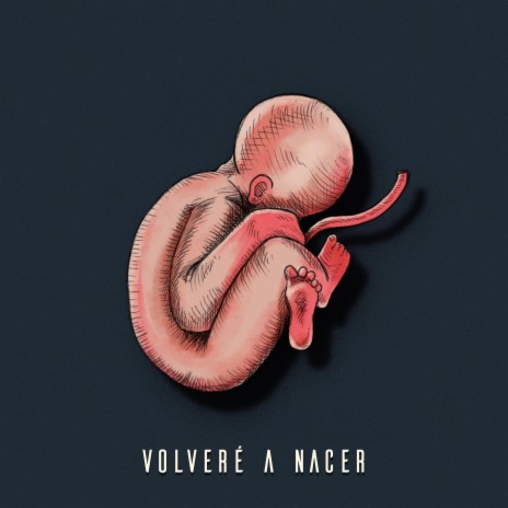 Volveré a Nacer | Boomplay Music