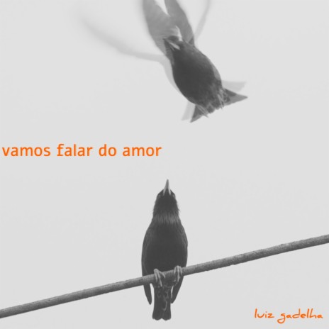 Vamos Falar do Amor | Boomplay Music