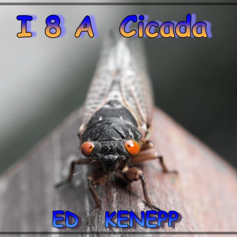 I 8 A Cicada