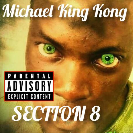 Section 8 | Boomplay Music