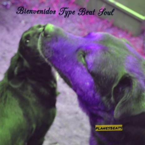 Bienvenidos Type Beat Soul | Boomplay Music