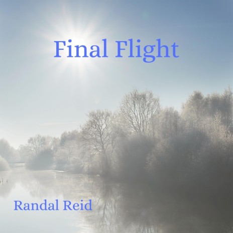 Final Flight | Boomplay Music