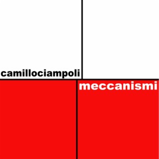 meccanismi