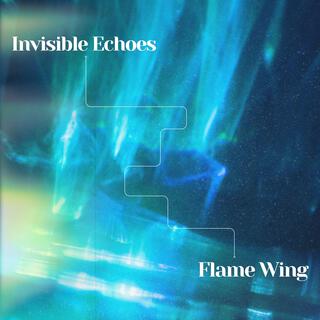 Invisible Echoes