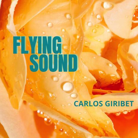 Flying Sound | Boomplay Music