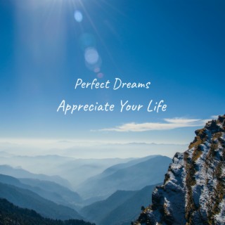 Appreciate Your Life