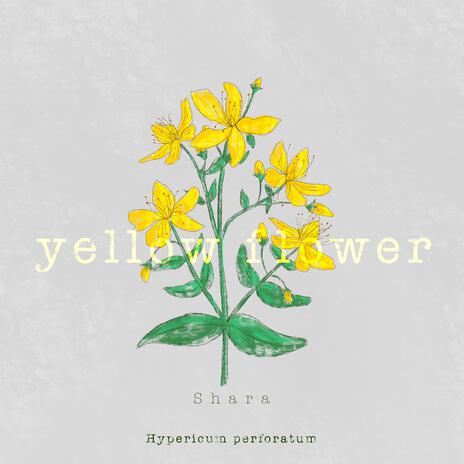 yellow flower