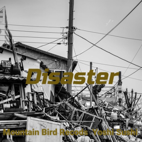 Disaster (Original Mix) | Boomplay Music