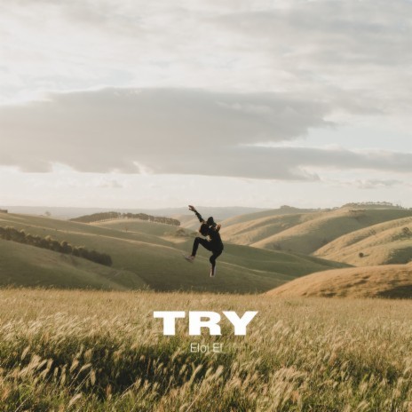 Try | Boomplay Music