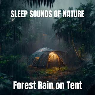 Forest Rain on Tent