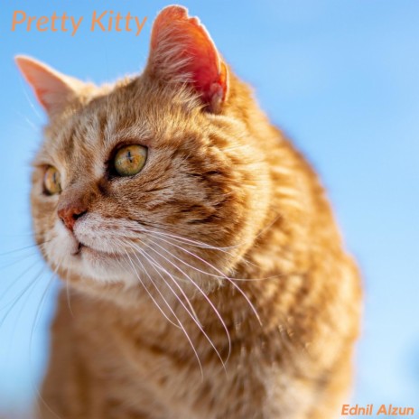 Pretty Kitty