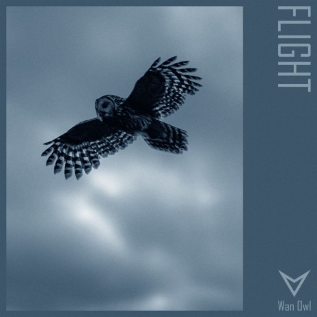 Flight (Radio Mix)