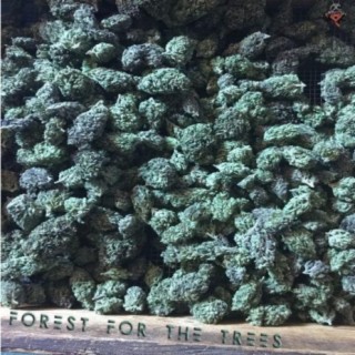 Forest for the Trees