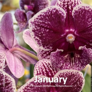 January