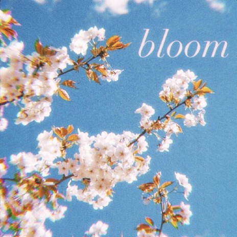 Bloom | Boomplay Music