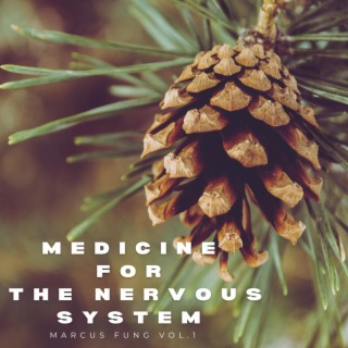 Medicine for the Nervous System vol.1