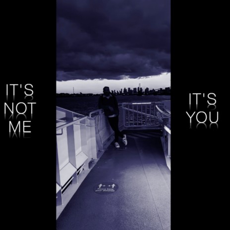 It's Not Me It's You | Boomplay Music