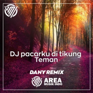 Dany Remix