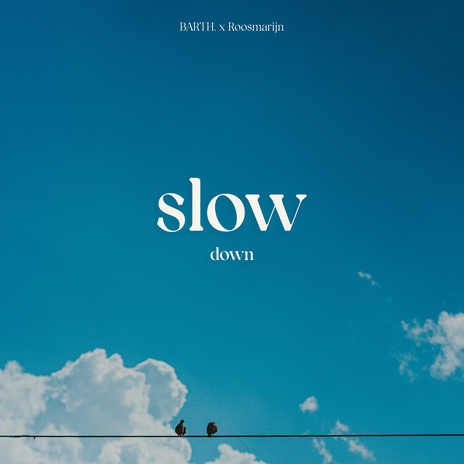 slow down ft. Roosmarijn | Boomplay Music