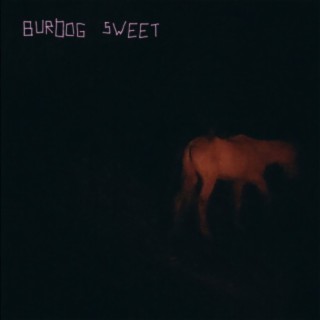 Burdog