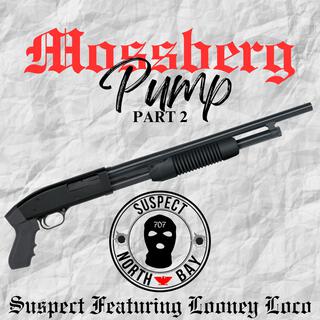 Mossberg Pump (Part 2)