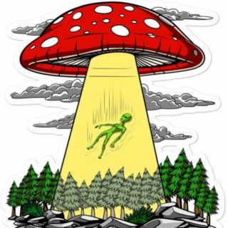 Psychedelic Alien Abduction