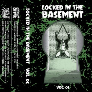 Locked In The Basement Volume 02 split w/ Video Massacre