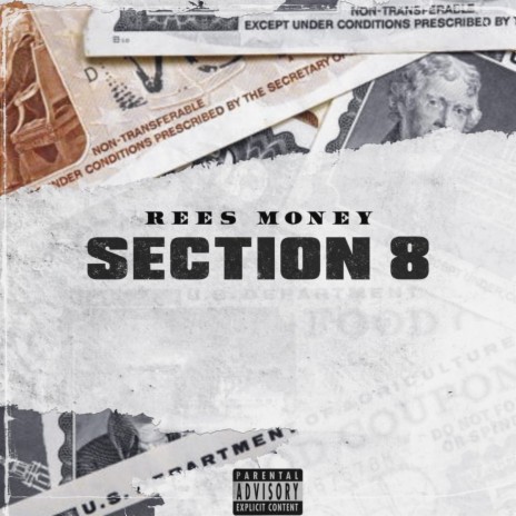 Section 8 | Boomplay Music