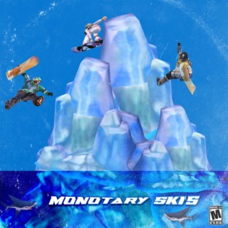 Monotary Ski's