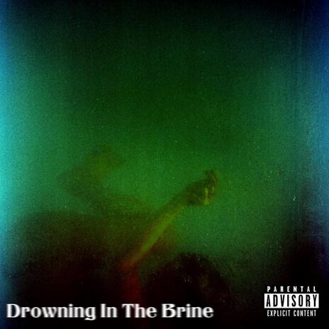 Drowning In The Brine ft. Feio & backseatclikk | Boomplay Music