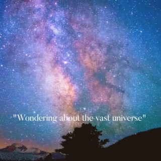 Wondering About The Vast Universe