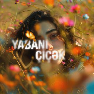 Yabanı Çiçək lyrics | Boomplay Music