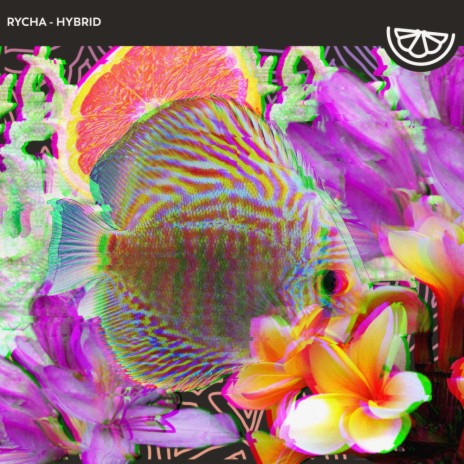 Hybrid (Original Mix) | Boomplay Music