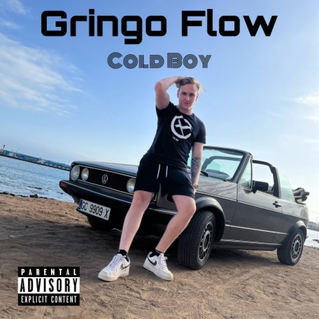 Gringo Flow | Boomplay Music