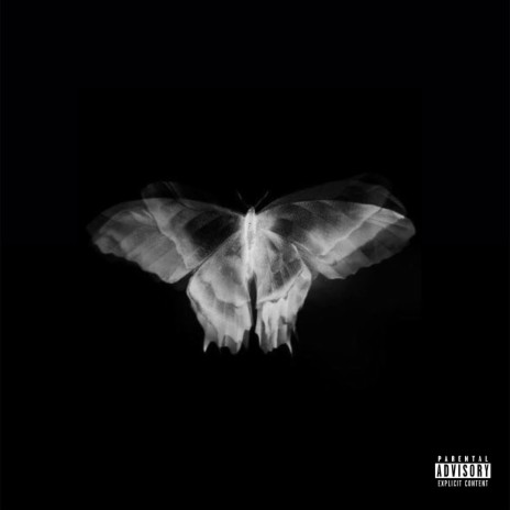 Butterfly Doors | Boomplay Music
