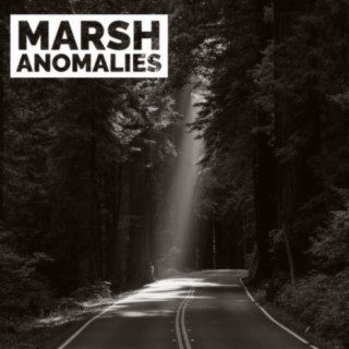 Marsh Anomalies