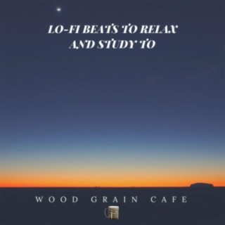 Lo-fi Beats To Relax and Study To, Vol. 17