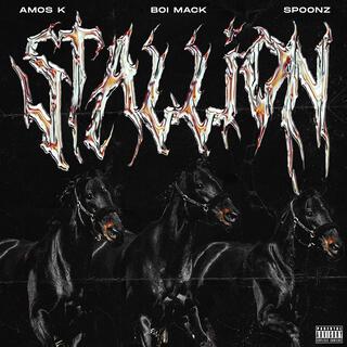 STALLION ft. Boi Mack & Spoonz lyrics | Boomplay Music