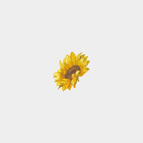 Sunflowers | Boomplay Music