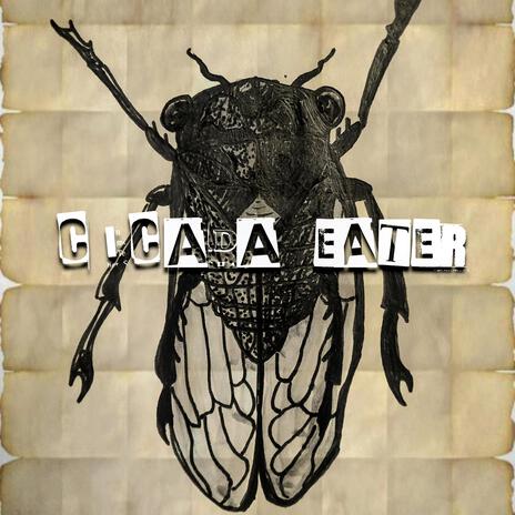 Cicada Eater | Boomplay Music