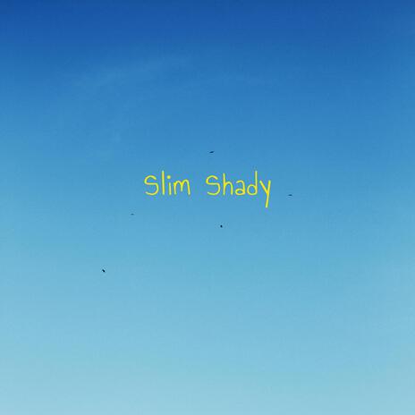 Slim Shady | Boomplay Music