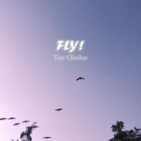 FLY! | Boomplay Music