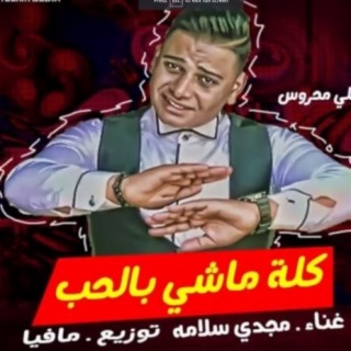 مجدي سلامه